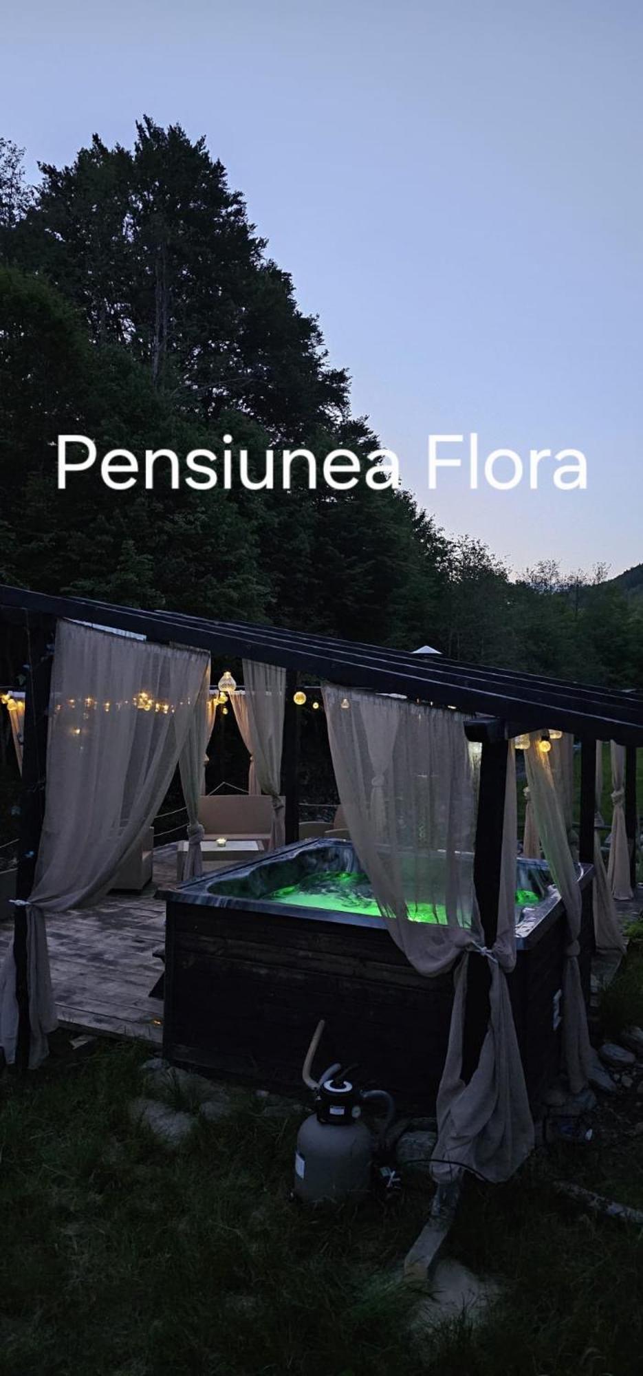 Pensiunea Flora Cîrţişoara Kültér fotó